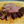 14 oz Ribeye